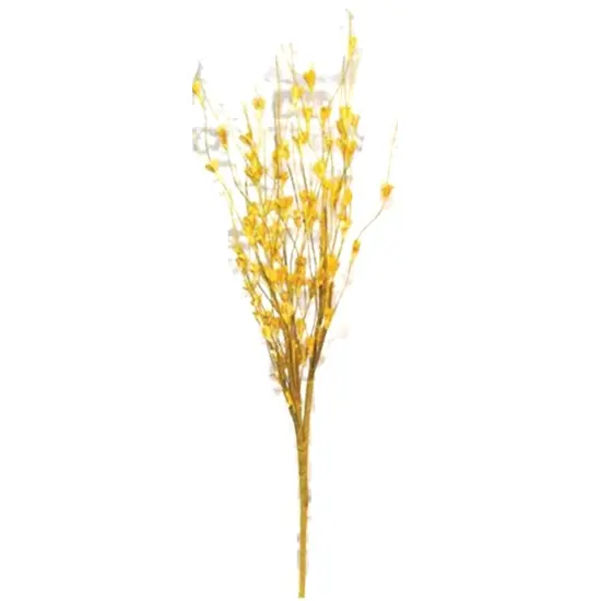 Wispy Buds Flower Bush Orange {2}