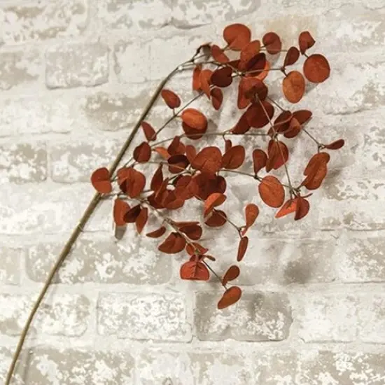 Penny Leaf Spray Red {2}