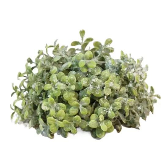 Icy Pebble Eucalyptus Half Sphere 8" {1}