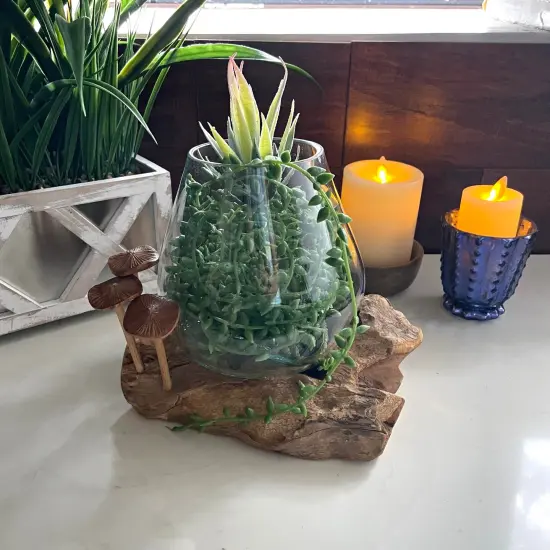 Handcrafted Glass and Teak Vase with Wood Mushroom Embellishments, Rustic Accent Brown {5}