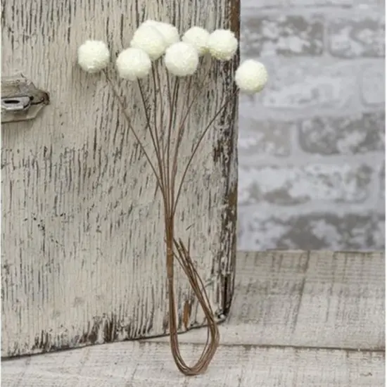 Billy Ball Bunch Cream {1}