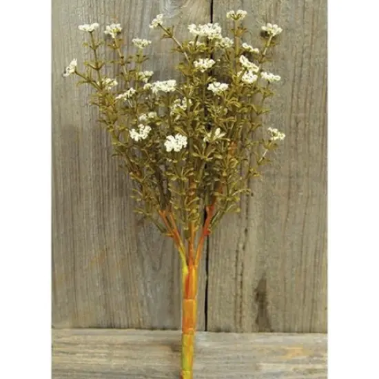 Fall Astilbe Bush Mustard {2}