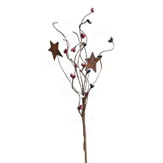 Mix Pip Berries & Star Pick Burgundy {2}