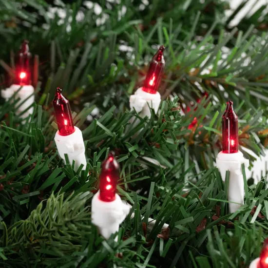 Northlight Mini Incandescent Christmas Lights - Red - 10' White Wire - 50ct {4}