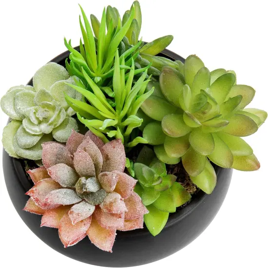 Mini Artificial Succulent in Pot, Fake Plant Arrangement in Black Ceramic Planter Bowl {3}