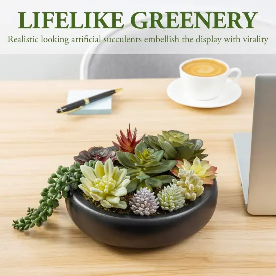 8-Inch Artificial Succulent Plant Arrangement, Assorted Fake Plants in Modern Black Round Concrete Planter Bowl {2}