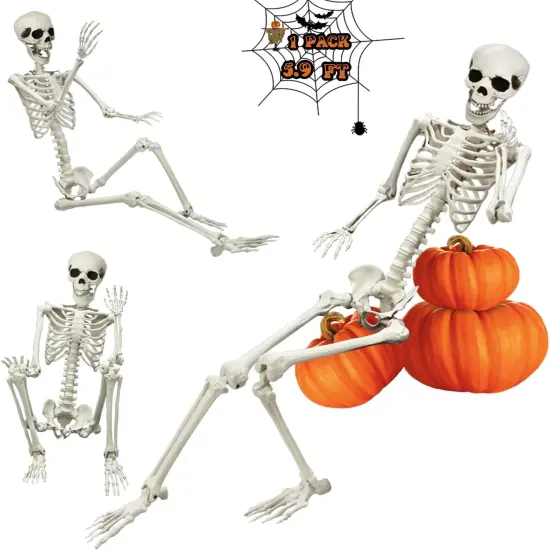 Life Size Poseable Skeleton for Halloween {1}