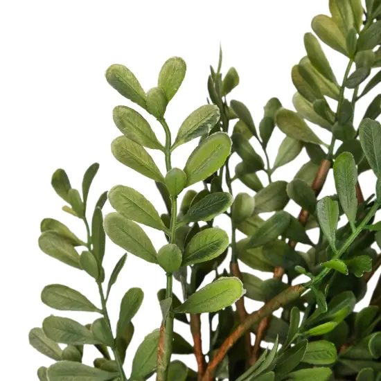 Northlight 32" Mixed Greens Lush Boxwood Artificial Wreath - Unlit {7}