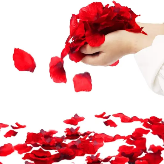 2000PCs Red Rose Petals, Silk Rose Petals for Wedding, Romantic Night, Proposal Anniversary Flower Decorations {3}