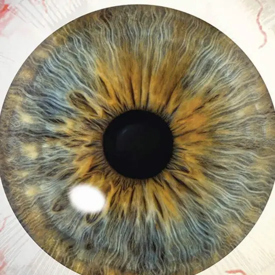 Creepy Eyeball 28 Inch Foil Balloon {6}