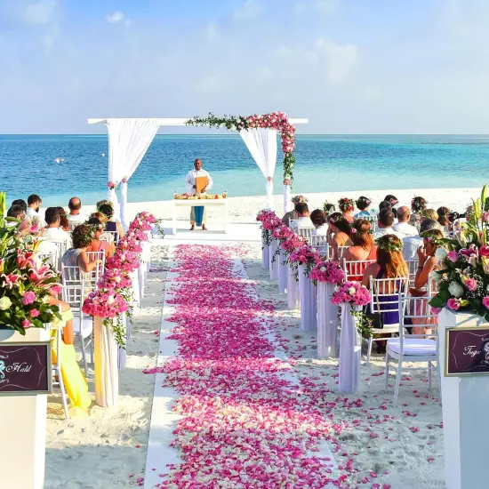 Artificial Petals 1000 PCS Dark-Red Silk Rose Petals for Valentine's Day,Romantic Night,Wedding,Proposal Anniversary Flower Decorations, Event, Party, in Bulk {2}