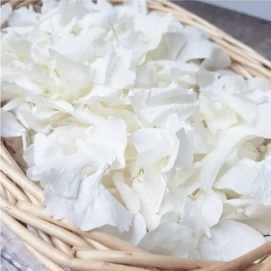 1500Pcs Real Dried Ivory White Hydrangea Flower Petals - Natural smal Petals for Wedding {1}