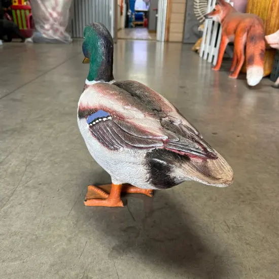 Male Mallard Duck Statue {6}