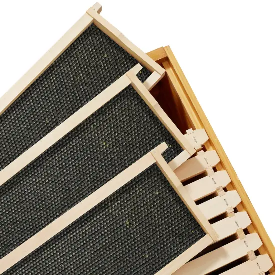 Honey Keeper 10-Pack Unassembled Beehive Frames with Natural Beeswax Foundations for Beekeeping, Medium Super - 6-1/4 inch Black {4}