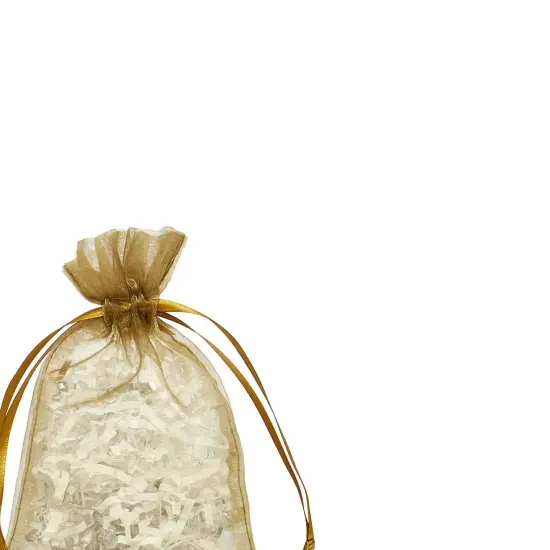 Sheer Organza Gift Bags 5&rdquo; x 8&rdquo; for Special Occasions {6}