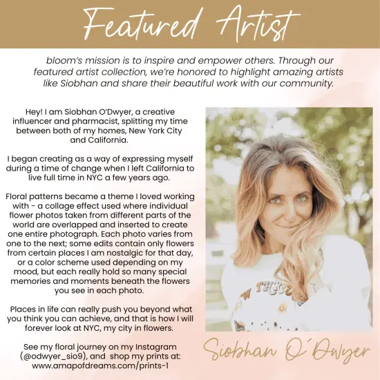 bloom daily planners 2025-26 Academic Planner, Soft Cover, 4" x 6", Mystical Mountains {3}