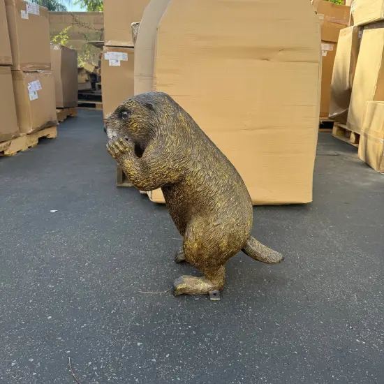 Groundhog Standing Life Size Statue {5}