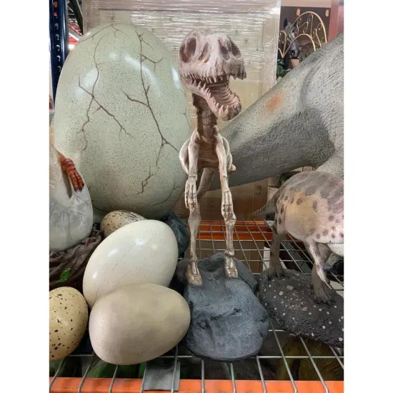 Baby T-Rex Dinosaur Skeleton On Base Life Size Statue {4}