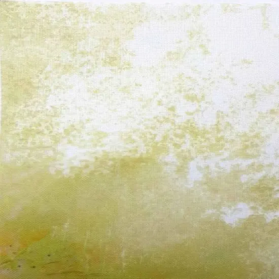 Sunlit Canopy Designer Printed AIDA Fabric. Canvas for embroidery with an applied backgroundKF-1133A {1}