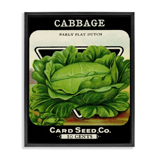 Stupell Industries Vintage Garden Cabbage Floating Frame Design by Lil' Rue {1}