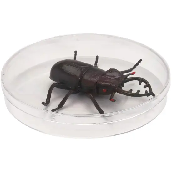 Pioneer Plastics 052C Clear Round Petri Dish Plastic Container, 4.3125" W x 0.625" H {5}