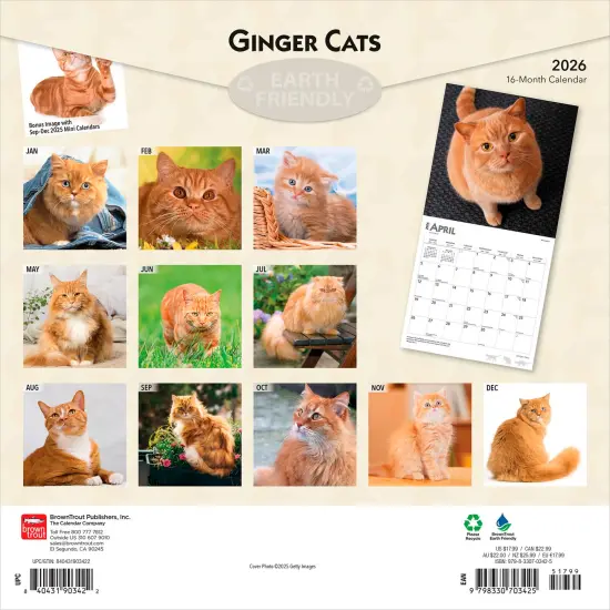 Ginger Cats | 2026 12 x 24 Inch (Hanging) Monthly Square Wall Calendar | Plastic-Free {2}