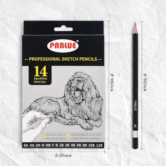 Professional Triangular Drawing Sketching Pencil Set,6H,4H,2H,H,HB,F,B,2B,3B,4B,6B,8B,10B,12B Graphite Shading Pencils for Beginners,ProArtists,Drawing,Drafting,Sketching,Shading(14 Pcs) {2}
