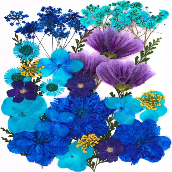 30Pcs Dried Pressed Flowers for Resin DIY {1}