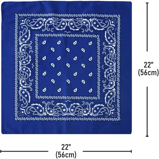 12 Pack Bandanas Multipurpose Cotton Novelty Paisley Bandana Headband for Cowboy Men Women 22 x 22 {3}
