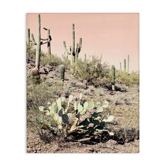 Stupell Industries Rustic Desert Scene Canvas Wall Art Design by Susan Bryant {1}