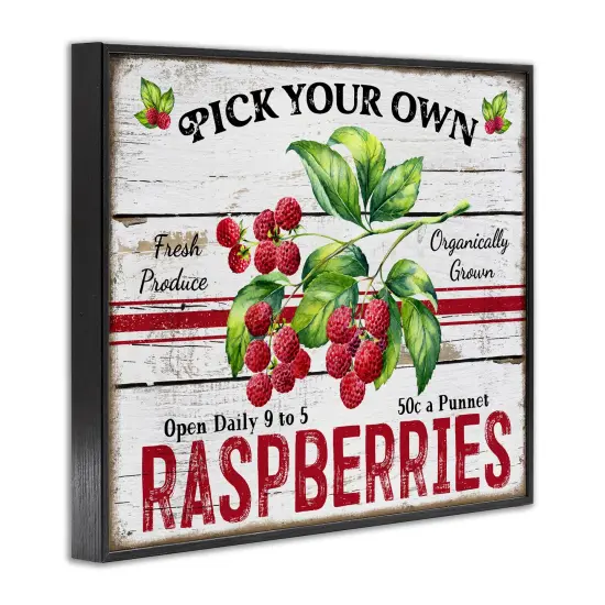 Stupell Industries Pick Your Own Raspberries Framed Giclee Wall Art Design by Creatif Belle {3}