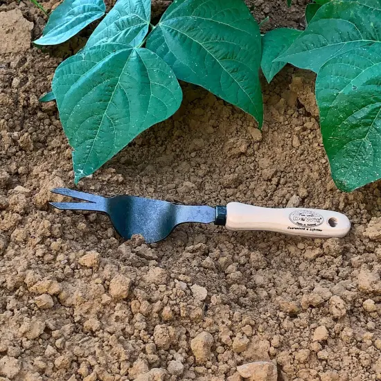 DeWit Weedpopper, Boron Steel Head and Hardwood Handle {4}