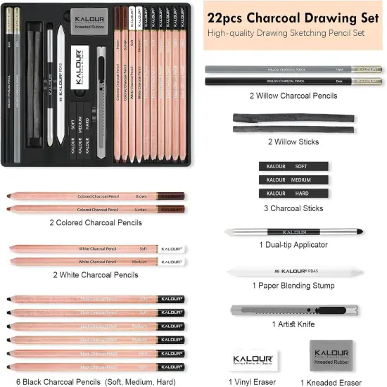 22pcs Charcoal Drawing Set, Professional Art Supplies, Black & White Charcoal {2}