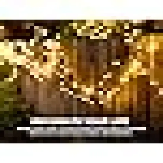 Brightown Solar String Lights Outdoor {3}