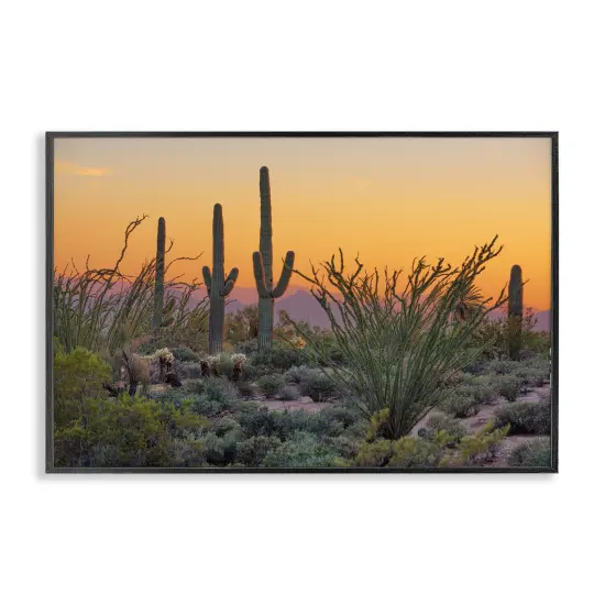 Stupell Industries Sunset Desertscape Cacti Framed Giclee Wall Art Design by Marty Hulsebos {1}
