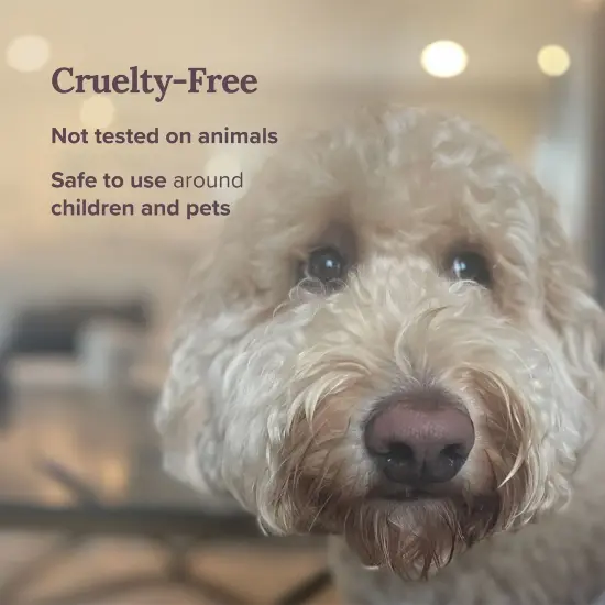 Magnificent 101 Long Lasting Lotus Flower Aromatherapy Candle | 6 Oz - 35 Hour Burn Time | Sage & Bergamot Scented Soy Wax Smudge Candle for New Beginnings, Purification & Manifestation Multicolor {5}