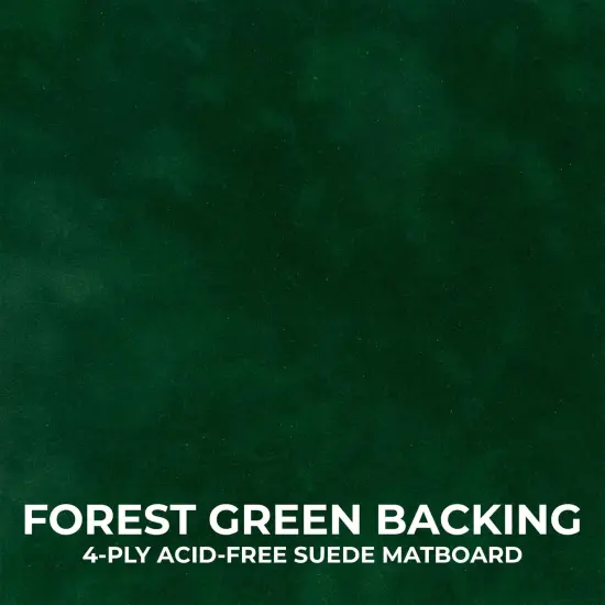 Natural Whitewash Wood Shadow Box Frame with Acrylic Front - Forest Green Suede Backing, 30 Sizes {5}