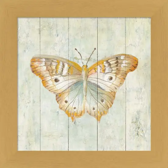 Natural Flora VII by Danhui Nai 13" x 13" Framed Wall Art {1}