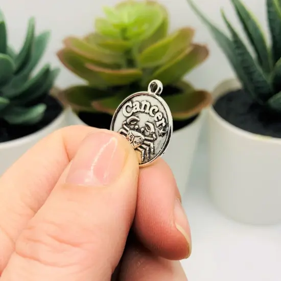 Antiqued Silver Zodiac/Astrology Coin Charm Set, 20x17mm {4}