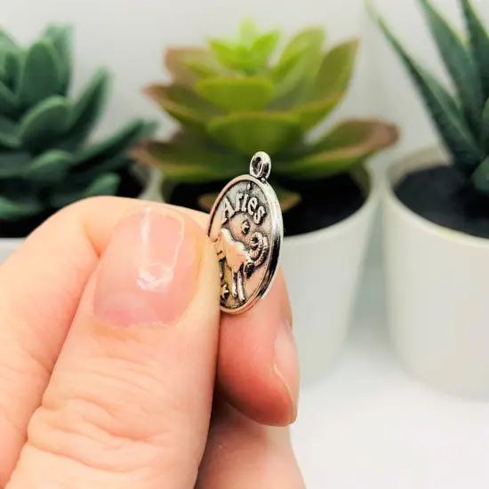 Silver Aries Zodiac/Astrology Coin Charms, 17x20mm {4}