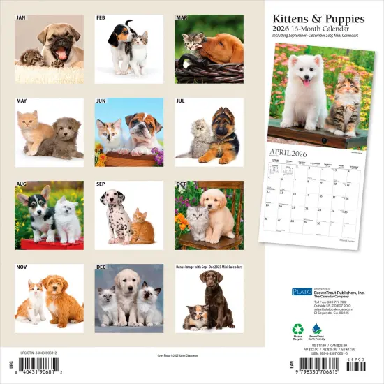 Kittens & Puppies | 2026 12 x 24 Inch (Hanging) Monthly Square Wall Calendar | Foil Stamped Cover {2}