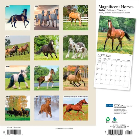 Magnificent Horses | 2026 12 x 24 Inch (Hanging) Monthly Square Wall Calendar | Foil Stamped Cover {2}