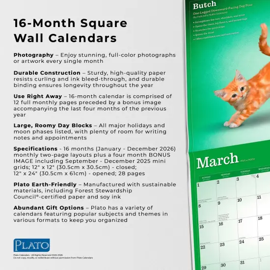 Yoga Kittens OFFICIAL | 2026 12 x 24 Inch (Hanging) Monthly Square Wall Calendar {6}