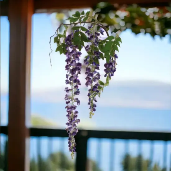 Hanging Wisteria Branch Spray - 70"-3 PACK {3}