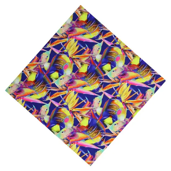 Tropical Fish Birds of Paradise Printed Spandex {4}