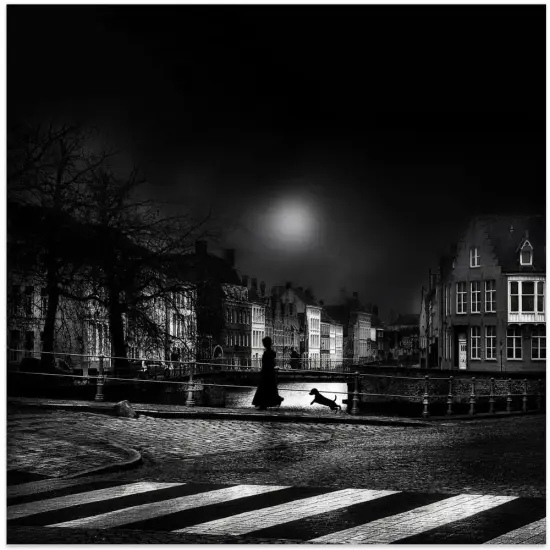 Moonlight stroll Square 24x24 Canvas - Corporate Office Art {2}