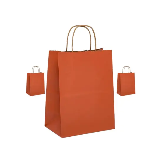 Multipurpose Kraft Shopping Bag 8" x 5" x 10.25" {4}