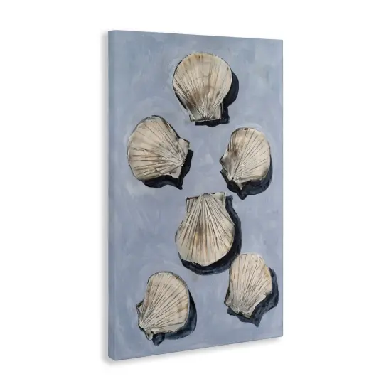 Stupell Industries Embellished Seashells Over Blue Canvas, design by Michael Willett {3}