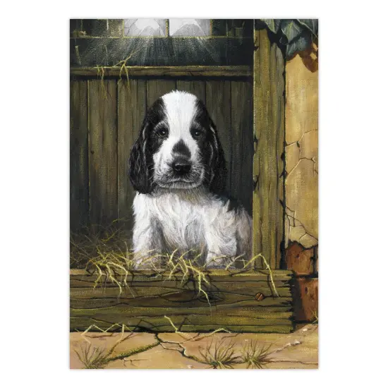 PJS67 | Painting by numbers™ 10pc 8.75" x 11.375" Spaniel Puppy Painting Project {2}