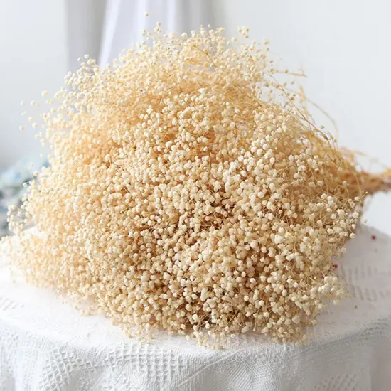 6500+ Dried-Babys-Breath-Flowers-Bouquet, Double Quantityed Ivory White Flowers, Natural Gypsophila Branches, Valentine's Day, Dry Flowers Bulk for Vase, DIY Wreath Home Party Wedding(5.7Oz) {1}